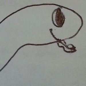 Meet your Posher, Dashthehero